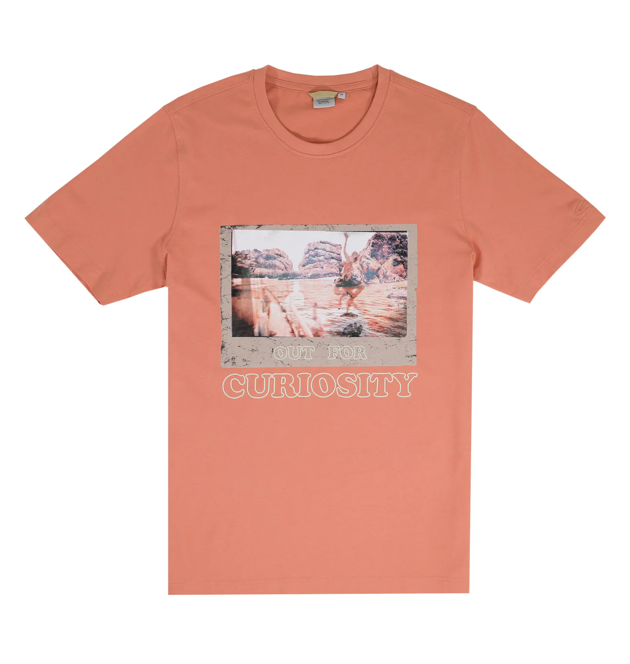 camel active Men Graphic T-Shirt - Regular Fit 100% Soft Cotton Multicolours Tee 9-282Z25CRP2901 - Image 10